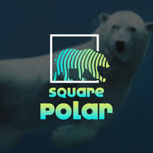Square polar